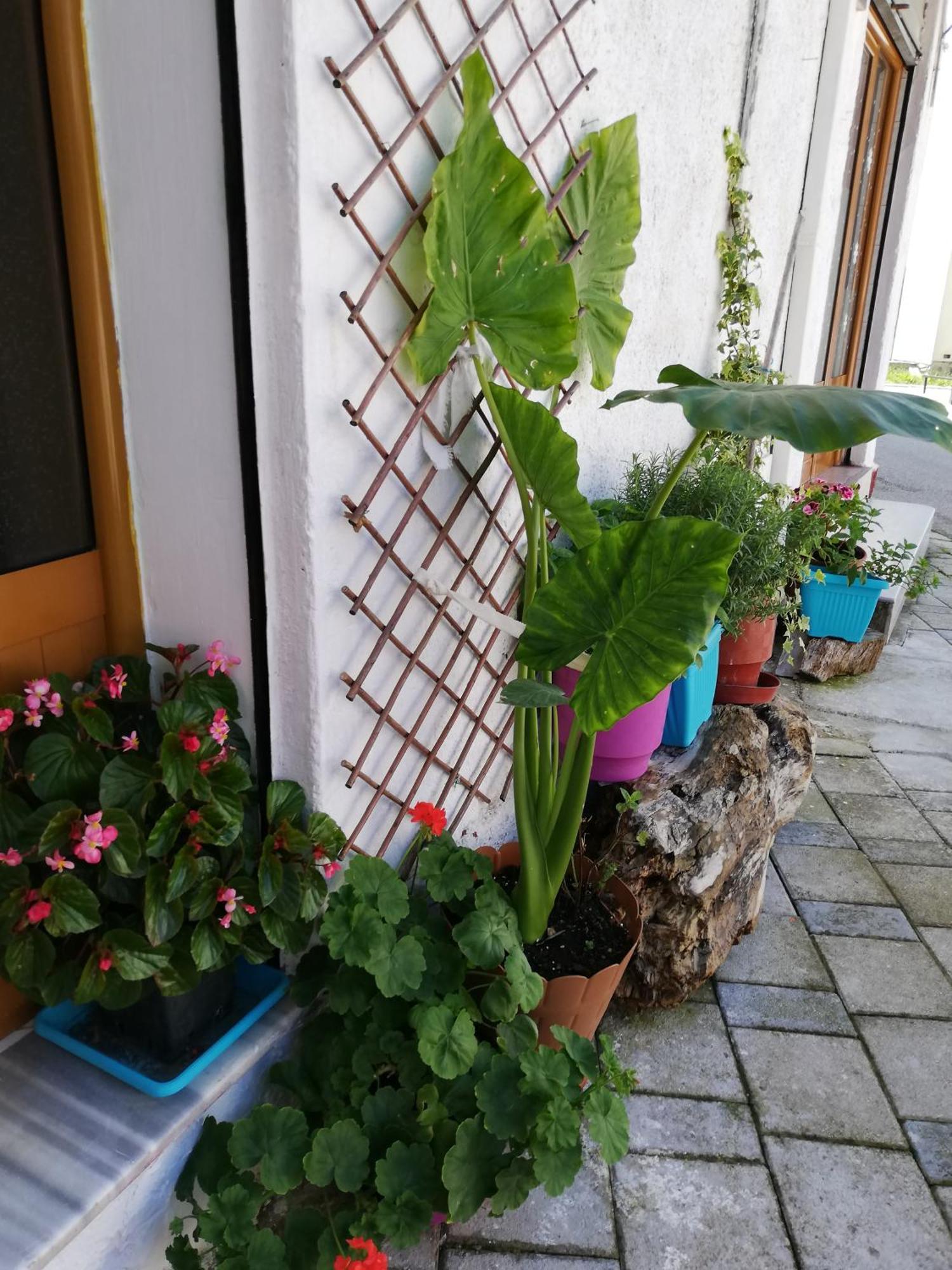 Albergue Casa Mia Vlorë Exterior foto